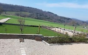 Les violettes du Bugey